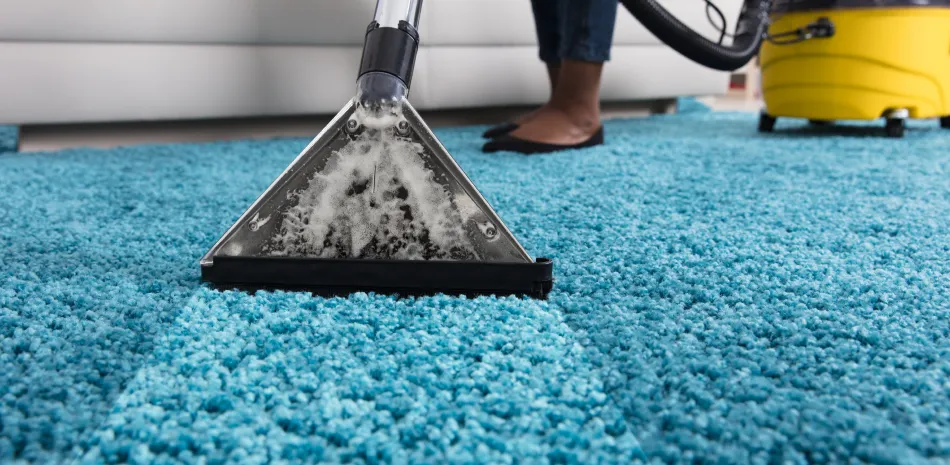 Carpet Cleaning