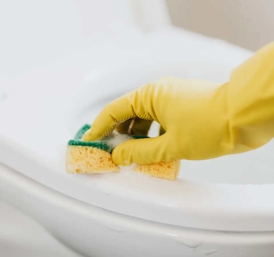 Restore the Sparkle Your Space Has Been Missing